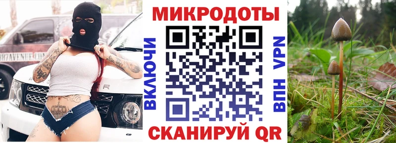 МЕГА вход  Омск  Псилоцибиновые грибы мухоморы  цены наркотик 